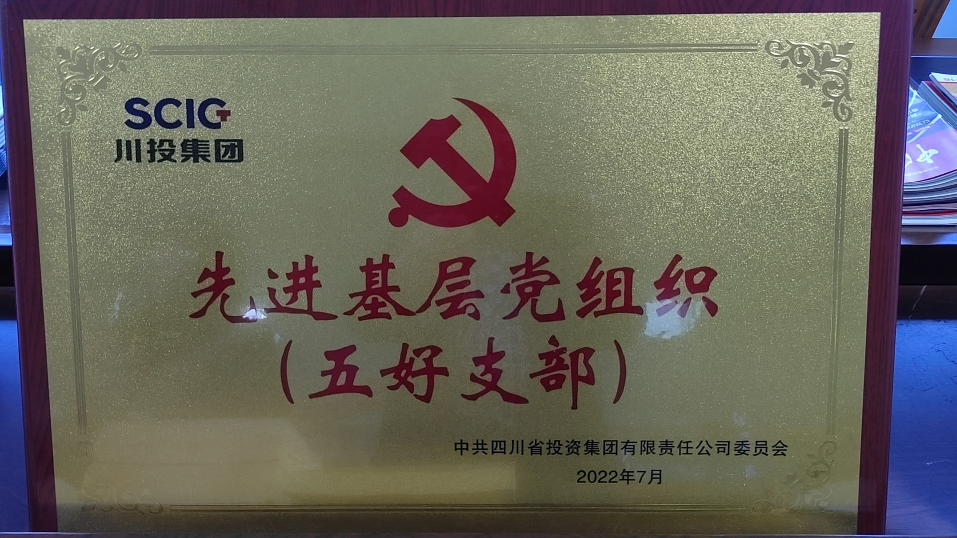 先進(jìn)基層黨組織(五好支部）